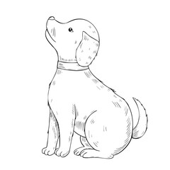 Sitting Dog vector drawing. Illustration of Puppy for vintage pet design. Engraving of domestic canine animal in etching style painted by black inks on isolated background. Vintage art of friend.