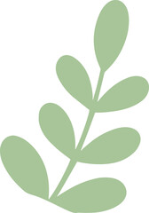  A flat minimalist illustration of a light green leafy branch symbolizing nature, growth, and organic design in a modern clean style.