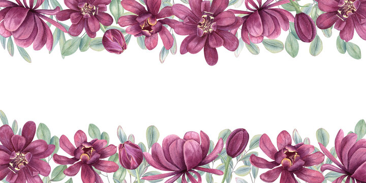 Watercolor Carolina allspice flowers with eucalyptus leaves rectangle border on isolated background. Blooming tropical plant with evergreen aromatic branches rectangle frame with space for text