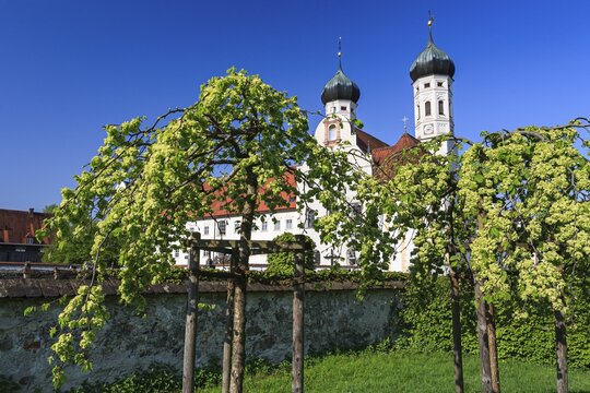 Hops, church towers, monastery, sunny, friendly, Benediktbeuern Monastery, Alpine foothills, Bavaria, Germany