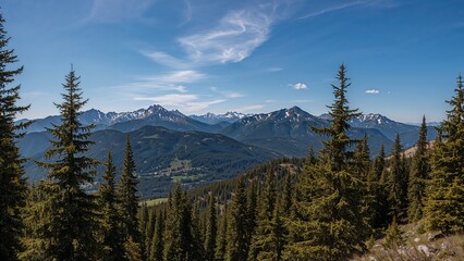 Obraz premium Picturesque mountain panoramic landscape with fir trees and mountain tops on a clear day