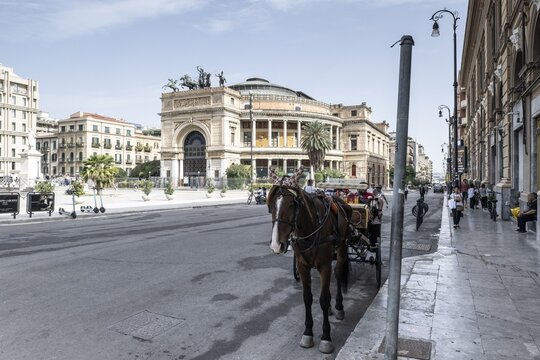 Horse-drawn carriage in front of the Politheama Theatre, Palermo, Sicily, Italy