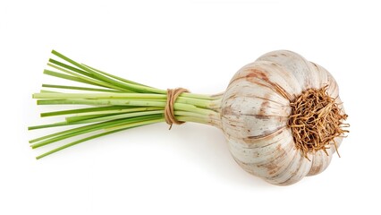 Fresh garlic bulb with green sprigs tied, sold in markets as a cooking ingredient. background,food,isolated,nature,kitchen,backgrounds,leaf,white,white background,garden