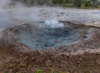 geyser in Haukadalur valley in Iceland