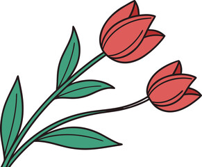 Two Red Tulips with Green Leaves on a White Background, Simple Illustration