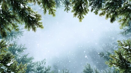 Snowy Forest Scene with Evergreen Trees Framing a Glowing Sky in Winter Wonderland Atmosphere