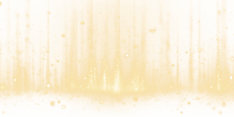 Soft glowing lens flares and radiant light bursts create a stunning sparkling overlay. Perfect for enhancing magical scenes or festive graphics. Adds depth, warmth, and a glittering effect. PNG