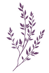 A simple purple lavender sprig isolated on a white background
