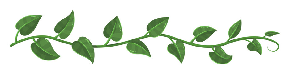 Green vine border vector illustration
