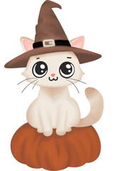 cat with a pumpkin