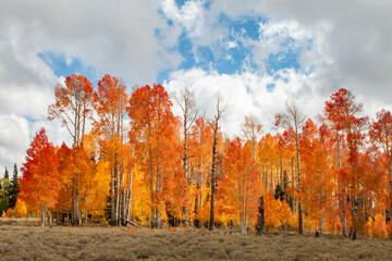 Indian Summer, Autumn
