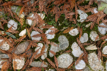 Texture of light limestone pavement with bright green moss and dry red pine needles. Natural color contrast. Damp forest environment. Organic seasonal autumn naturalistic atmospheric background.