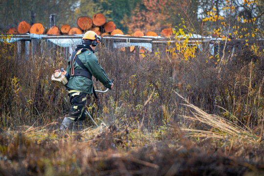 Forestry worker with brush cutter clearing field near stacked timber logs in autumn, sustainable forestry and land management concept