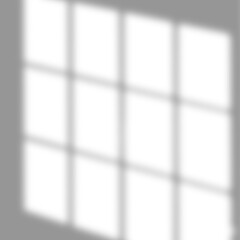 Window Shadow Grid Overlay