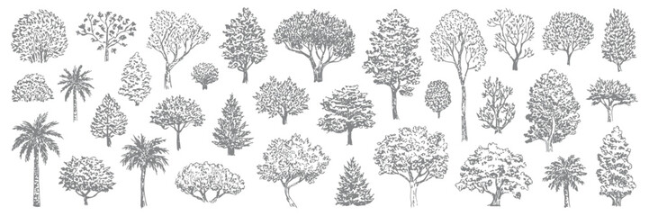 Fototapeta premium Minimal CAD Tree Vector Set, Side View Line Drawings of Tropical and Oak Trees for Architecture, Landscape, Urban Planning, Blueprint, Presentation, and Garden Design Projects