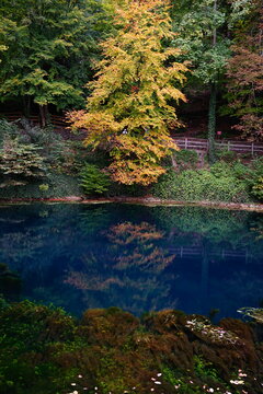 Herbst am Blautopf