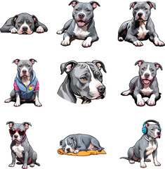 Collection of Adorable Pitbull Dog Illustrations in multiple playful and relaxed poses.