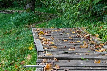 Low-angle view of a wooden boardwalk blanketed with fallen autumn leaves, surrounded by lush grass...