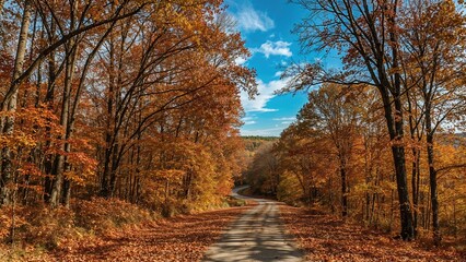 Fototapeta premium autumn landscape travel, nature, wood, tree, landscape, road, light, leaf, forest, autumn