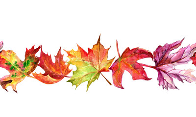 Colorful leaves seamless watercolor border for Thanksgiving cards, frame, autumn, fall, vibrant, botanical, realistic hand painted PNG with transparent background 