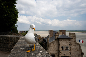 Mont Saint Michel, Normandy, France, at low tide