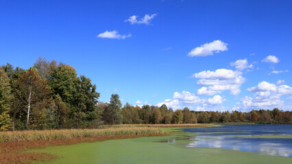 Trees and reeds on the shore of Richart Lake in early autumn with clouds in a blue sky