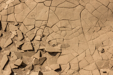 Dried up mud cracks, breaking up in the edge