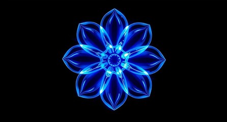blue flower on black