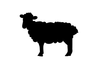 sheep vector illustration, Sheep, Lamb, Ram