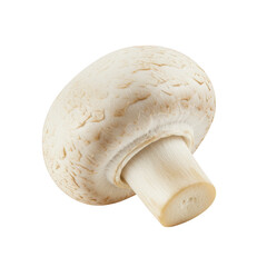 Fresh whole white button mushroom isolated food ingredient isolated on transparent background