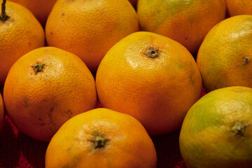 Fresh mandarins with visible imperfections and varied ripeness displayed on a red fabric surface. A natural and realistic representation of seasonal fruit and local markets