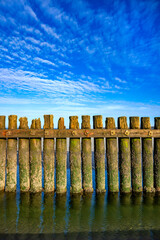 Breakwater made of twisted logs with bright green algae and barnacles on the beach at Norderney (Germany) at low tide. Salt water and weather have left their mark on the coastal protection structure.
