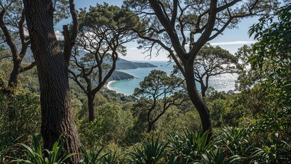 Fototapeta premium Landscapes and sea views from inside the Natural Park, travel, nature, wood, tree, landscape, forest, sea, green, blue, plant