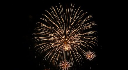 Fototapeta premium Golden fireworks exploding in the night sky, celebrating a special occasion