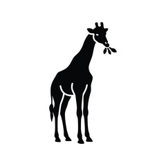 Silhouette of a majestic giraffe eating leaves from a tree branch in a simple graphic design style isolated on white background