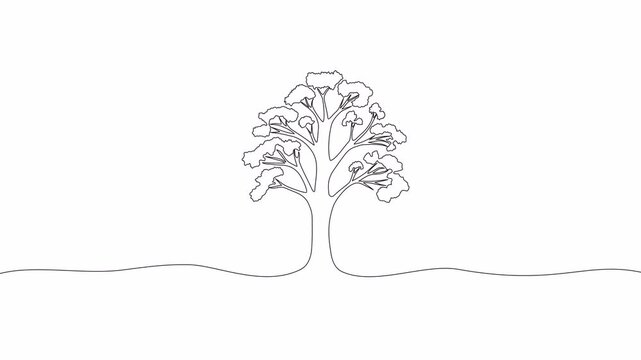 Video. Continuous drawing of trees. Minimal outline vector of eco, nature, forest, garden logo and green environment concept. Animation on a white background 4K.