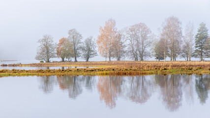 Autumn river in a foggy morning. Farnebofjarden national park in north of Sweden.