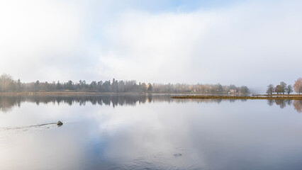 Autumn river in a foggy morning. Farnebofjarden national park in north of Sweden.