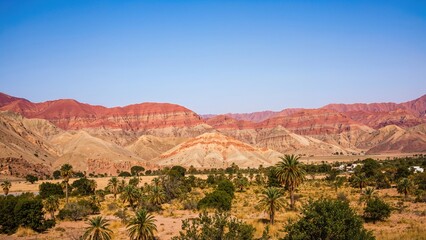 Naklejka premium Beautiful desert view, barren multicolored hills in red, pink, purple and yellow colors, few trees and dry grass
