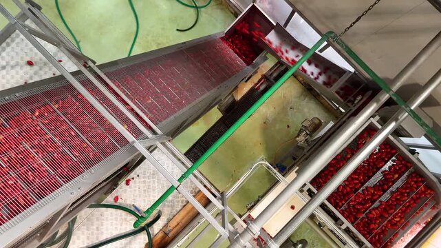 drone, interni di stabilimento lavorazione di conserve di pomodoro