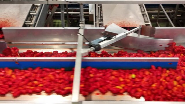 drone, interni di stabilimento lavorazione di conserve di pomodoro