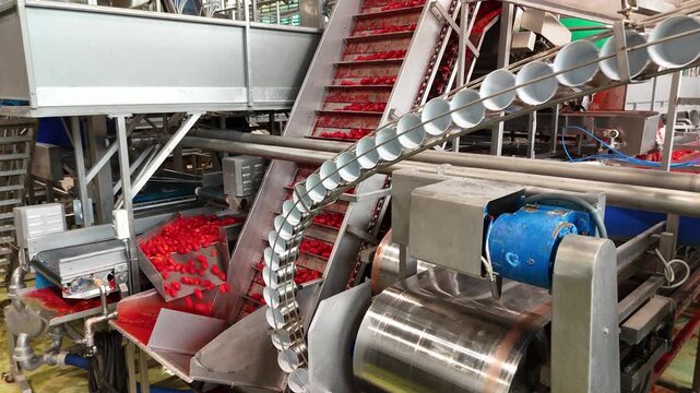 drone, interni di stabilimento lavorazione di conserve di pomodoro