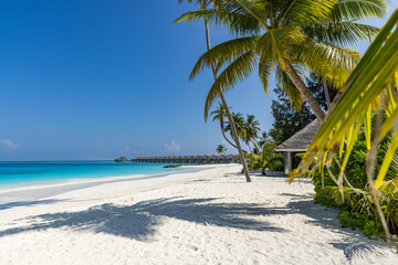 Best Gorgeous Maldives Island Landscape Tropical Beach Paradise Exotic Shore. Top Beautiful Palm Trees Luxury Vacation Resort Water Villas. Popular Stunning Travel Destination Perfect Summer Holiday