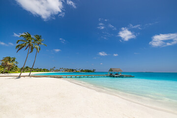 Best Gorgeous Maldives Island Landscape Tropical Beach Paradise Exotic Shore. Top Beautiful Palm Trees Luxury Vacation Resort Water Villas. Popular Stunning Travel Destination Perfect Summer Holiday