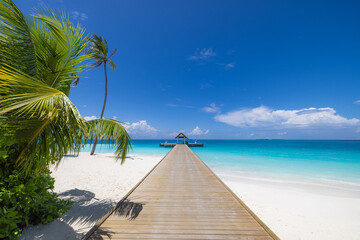 Best Gorgeous Maldives Island Landscape Tropical Beach Paradise Exotic Shore. Top Beautiful Palm Trees Luxury Vacation Resort Water Villas. Popular Stunning Travel Destination Perfect Summer Holiday