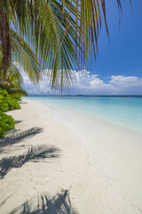 Best Top Popular Beach Vacation Background Summer Pattern Closeup Sea Sand Sky Palm Leaves Luxury Travel Beautiful Exotic Holiday Nature Outdoor Seascape Perfect Destination Tranquil Tropical Paradise