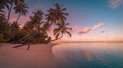 Amazing Sunset Beach Landscape. Perfect Tropical Island Paradise Scenic Reflection. Best Summer Destination Tourism Background Top Gorgeous Relaxing Sea, Top Sky Colors. Beautiful Palm Tree Silhouette