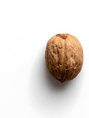 Single walnut on a white backdrop. The walnut's textured shell is in sharp focus, with light and shadow accentuating the ridges. Prominent shadow adds depth.