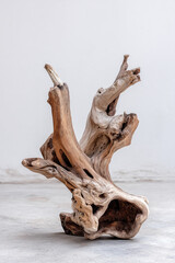 Naklejka premium An artistic shot of driftwood arranged as unique home decor, showcasing natural upcycling and rustic aesthetic.