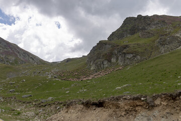 Scenic stretch of Romania’s Transalpina road curving through dense forest and mountainous terrain. Ideal for editorial, travel, infrastructure, or nature photography themes.